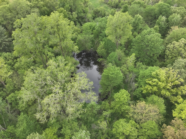 Bunkerhill Rd, Jackson, MI 49201 - photo 7