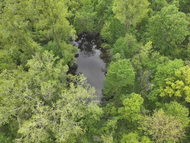 Bunkerhill Rd, Jackson, MI 49201 - photo 8