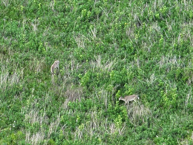 Bunkerhill Rd, Jackson, MI 49201 - photo 9