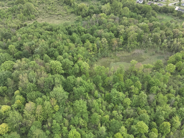 Bunkerhill Rd, Jackson, MI 49201 - photo 11