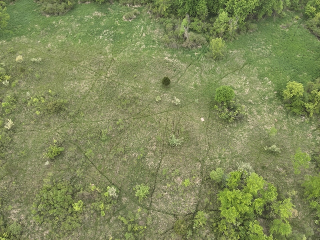 Bunkerhill Rd, Jackson, MI 49201 - photo 12