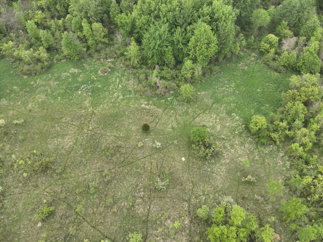 Bunkerhill Rd, Jackson, MI 49201 - photo 13