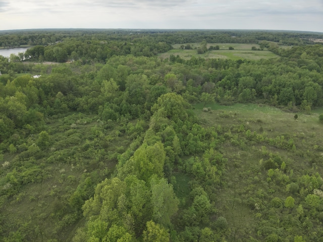 Bunkerhill Rd, Jackson, MI 49201 - photo 14