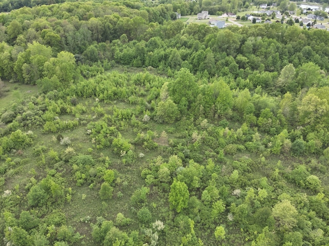 Bunkerhill Rd, Jackson, MI 49201 - photo 15