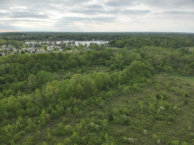 Bunkerhill Rd, Jackson, MI 49201 - photo 16