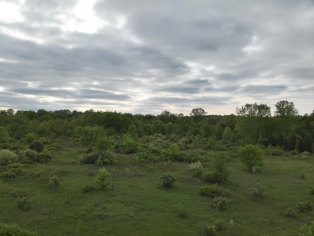 Bunkerhill Rd, Jackson, MI 49201 - photo 17