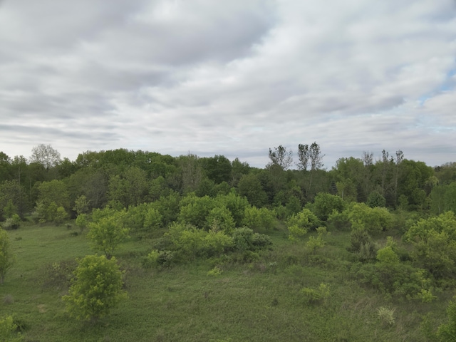 Bunkerhill Rd, Jackson, MI 49201 - photo 18