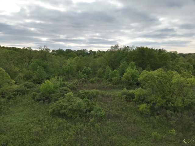 Bunkerhill Rd, Jackson, MI 49201 - photo 19