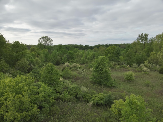 Bunkerhill Rd, Jackson, MI 49201 - photo 20