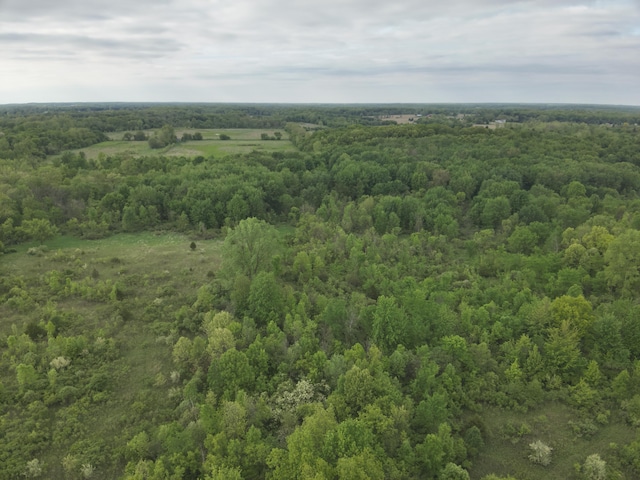 Bunkerhill Rd, Jackson, MI 49201 - photo 21