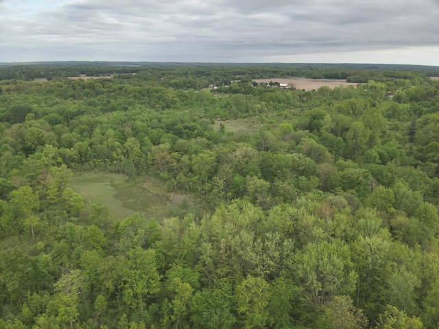 Bunkerhill Rd, Jackson, MI 49201 - photo 22