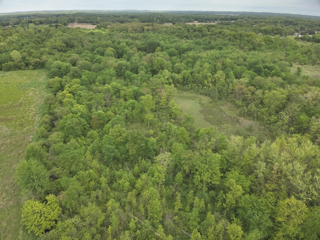 Bunkerhill Rd, Jackson, MI 49201 - photo 23