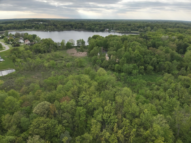 Bunkerhill Rd, Jackson, MI 49201 - photo 24