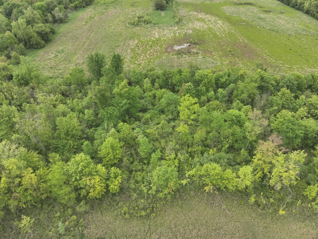 Bunkerhill Rd, Jackson, MI 49201 - photo 25