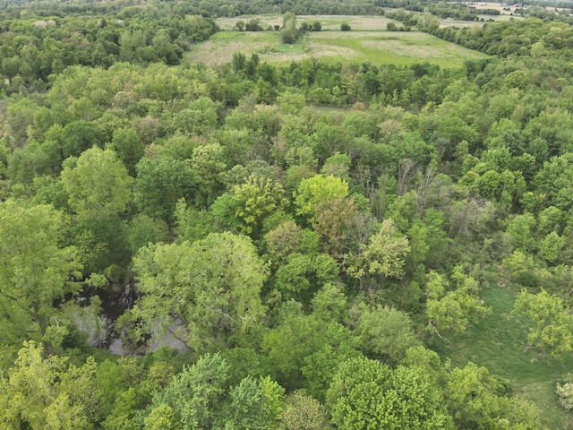 Bunkerhill Rd, Jackson, MI 49201 - photo 26