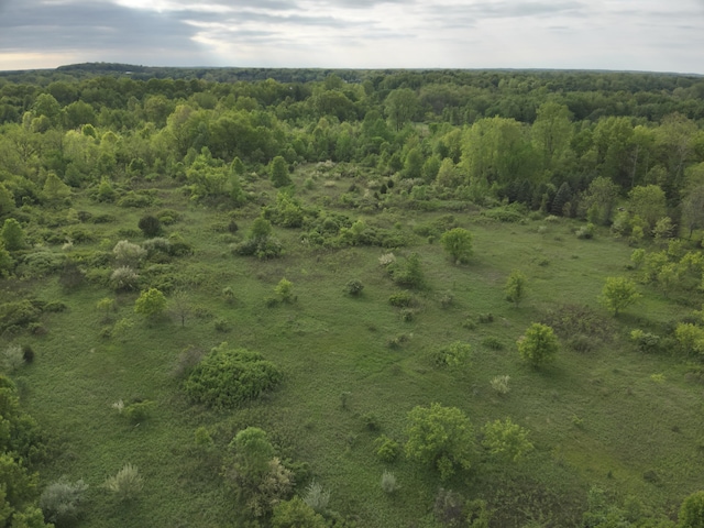 Bunkerhill Rd, Jackson, MI 49201 - photo 27