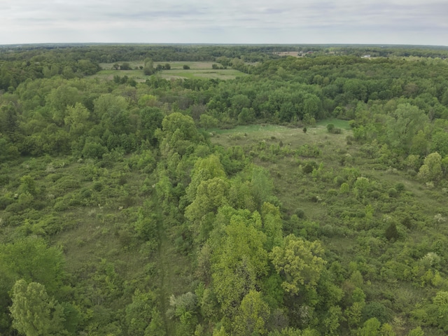 Bunkerhill Rd, Jackson, MI 49201 - photo 28