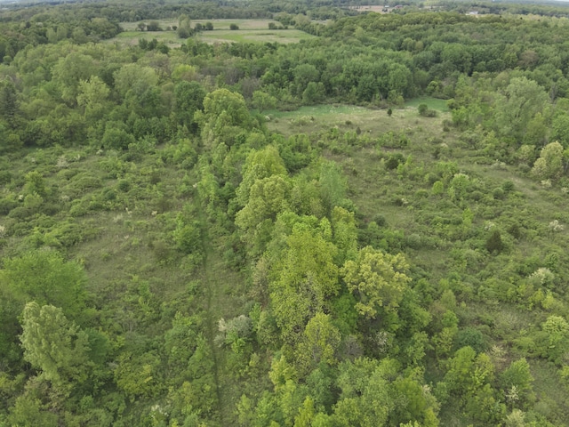 Bunkerhill Rd, Jackson, MI 49201 - photo 29