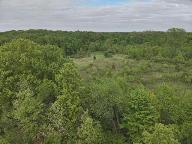 Bunkerhill Rd, Jackson, MI 49201 - photo 30