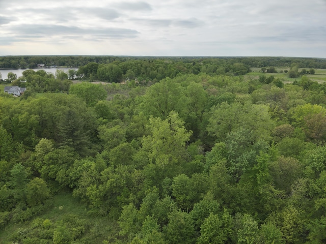 Bunkerhill Rd, Jackson, MI 49201 - photo 31