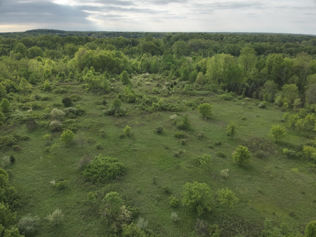 Bunkerhill Rd, Jackson, MI 49201 - photo 32