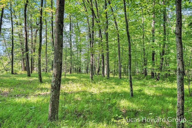 8538 E Beechwood, Newaygo, MI 49337