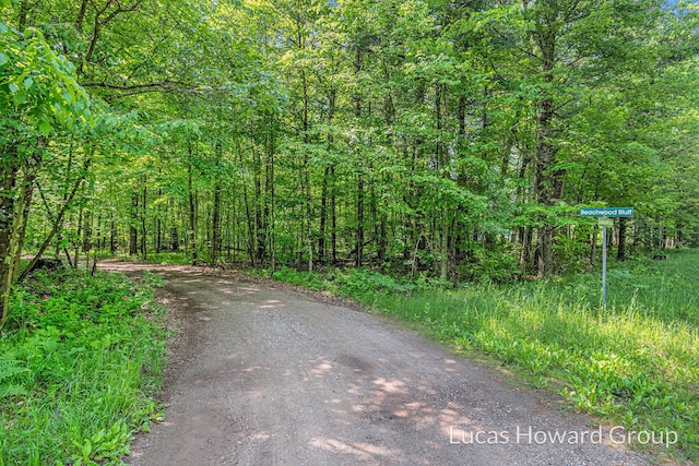 8538 E Beechwood, Newaygo, MI 49337