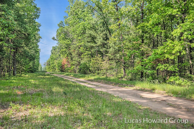 8538 E Beechwood, Newaygo, MI 49337
