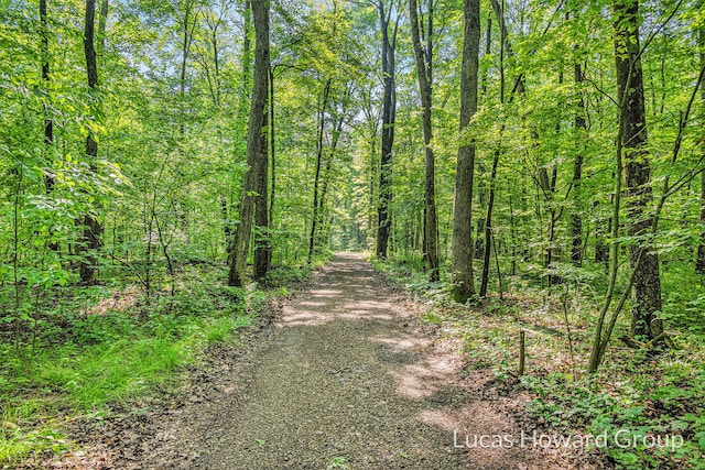 8538 E Beechwood, Newaygo, MI 49337