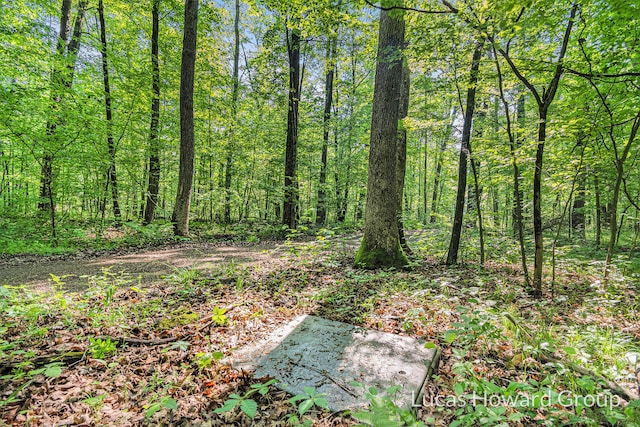 8538 E Beechwood, Newaygo, MI 49337