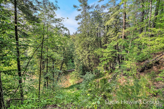 8538 E Beechwood, Newaygo, MI 49337