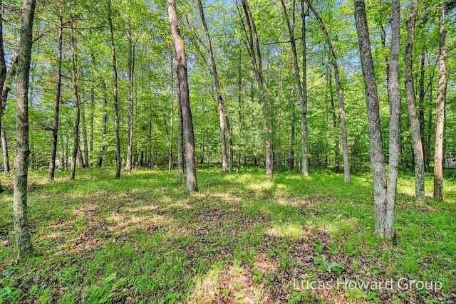 8538 E Beechwood, Newaygo, MI 49337
