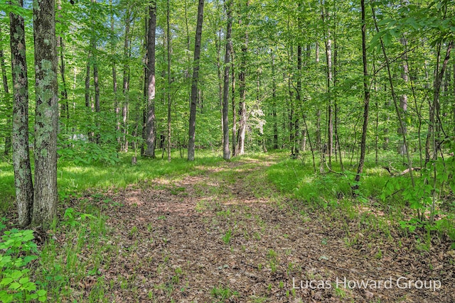 8538 E Beechwood, Newaygo, MI 49337