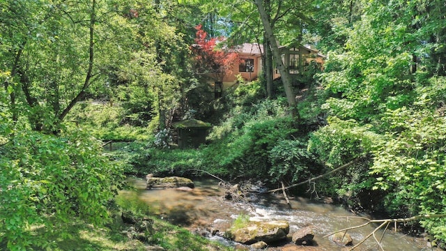 1630 S 3rd St, Niles, MI 49120 - view of tree filled area