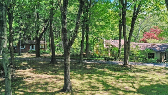1630 S 3rd St, Niles, MI 49120 - view of green lawn