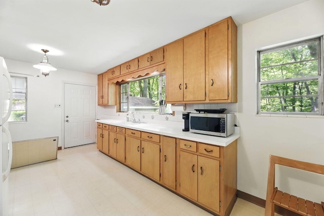 1630 S 3rd St, Niles, MI 49120 - kitchen featuring stainless steel microwave, light countertops, and plenty of natural light