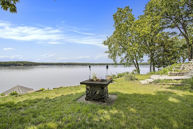 3992 Grandview Ave, Allegan, MI 49010 - photo 23