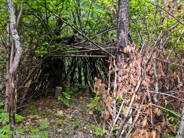 6838 E Michillinda Rd, Twin Lake, MI 49457 - view of nature
