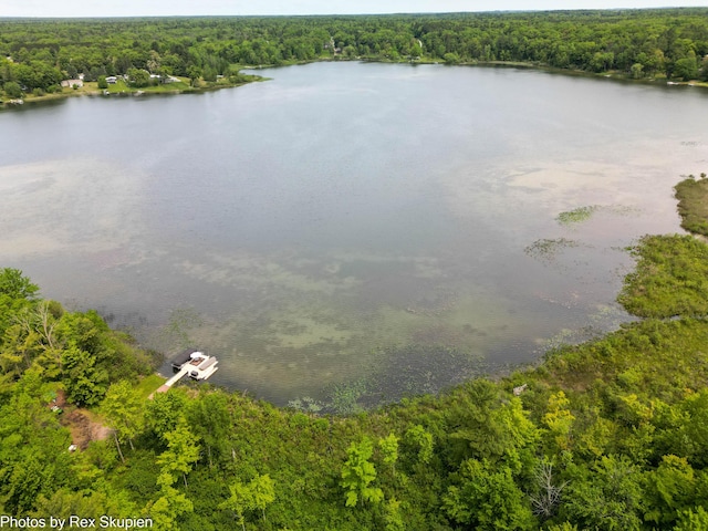 6838 E Michillinda Rd, Twin Lake, MI 49457 - water view with a heavily wooded area