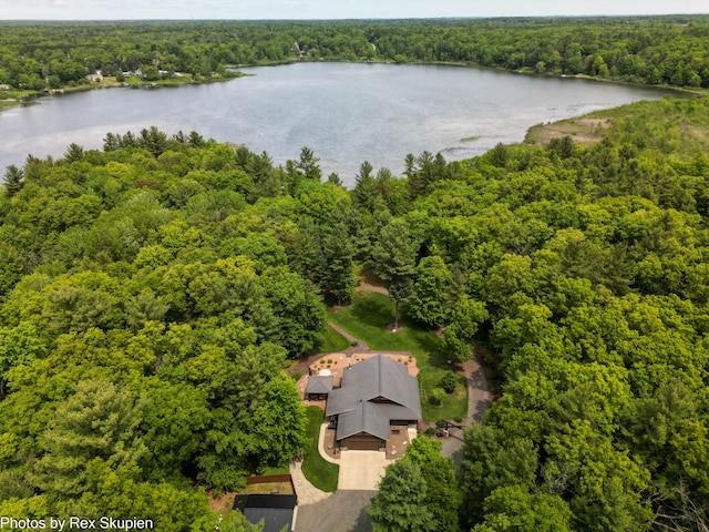 6838 E Michillinda Rd, Twin Lake, MI 49457 - drone / aerial view of a forest and a nearby body of water