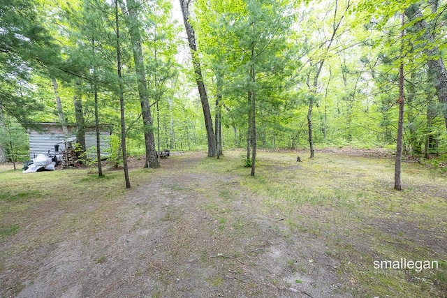 9134 39th Ave, Bitely, MI 49309 - view of yard with a view of trees