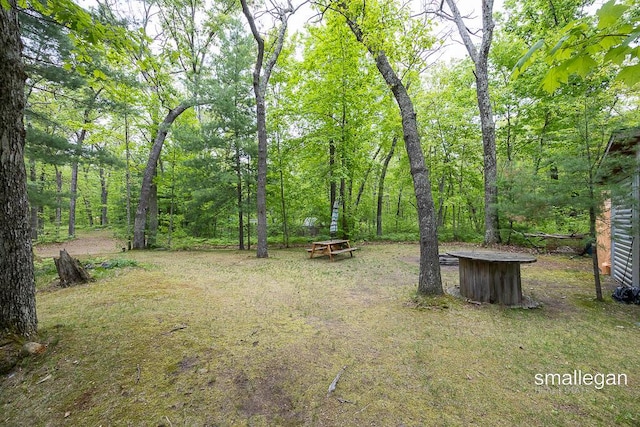 9134 39th Ave, Bitely, MI 49309 - view of yard