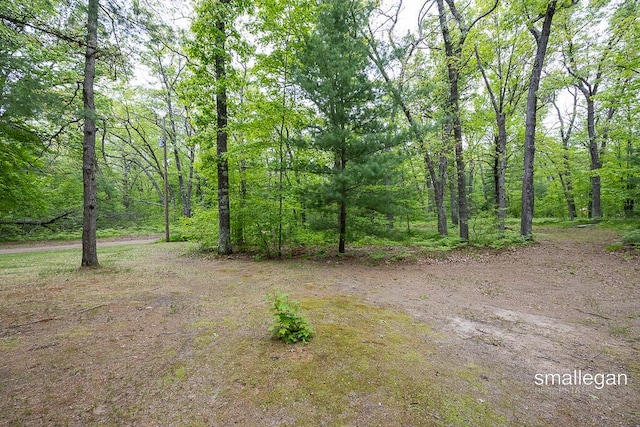 9134 39th Ave, Bitely, MI 49309 - view of woods