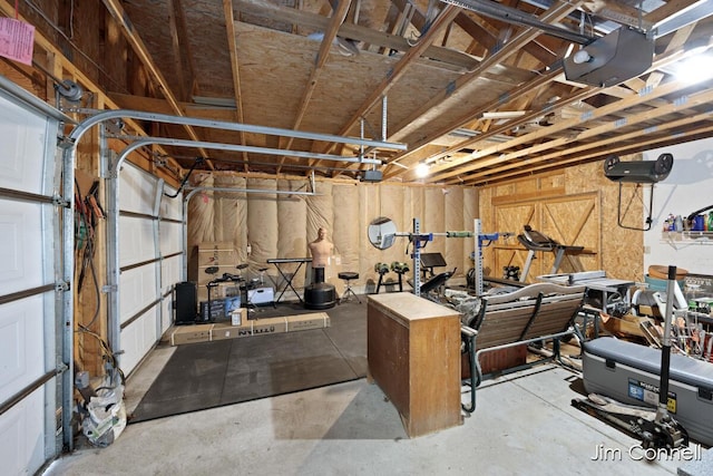 1480 W 72nd St, Newaygo, MI 49337 - workout area featuring a garage