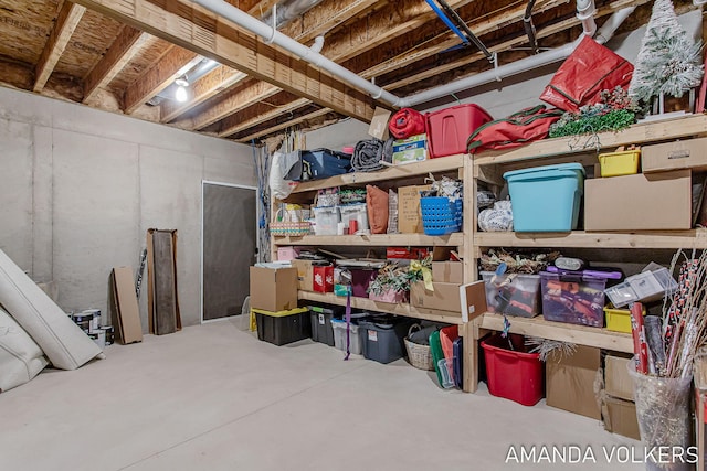 1551 Providence Cove Ct, Byron Center, MI 49315 - view of storage