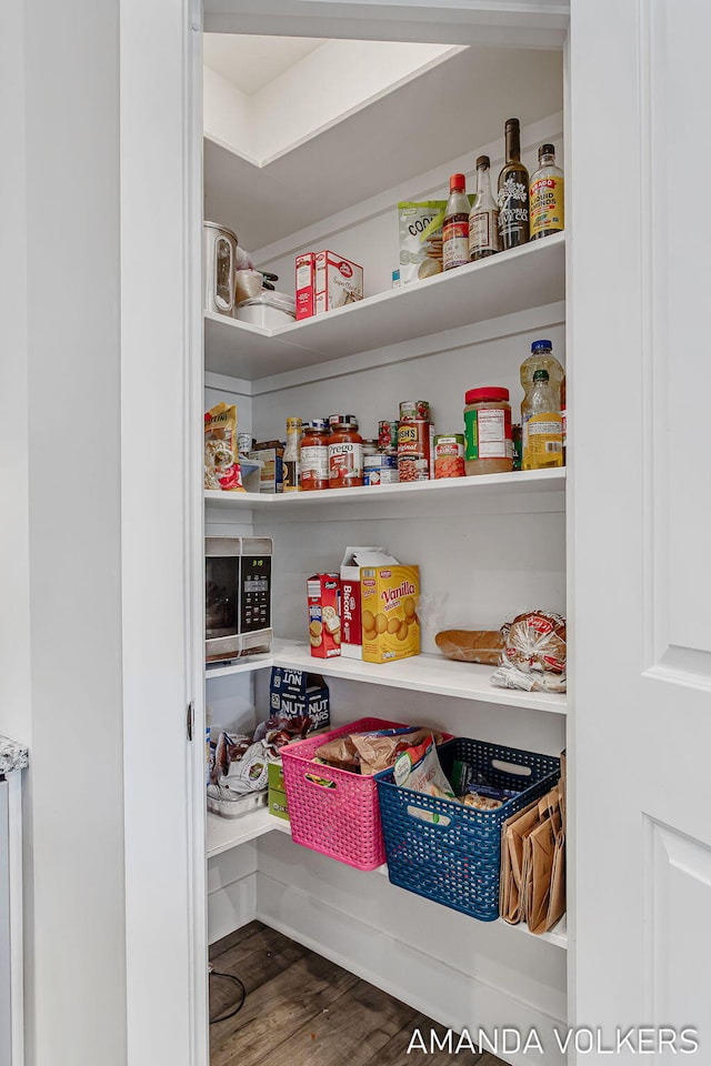 1551 Providence Cove Ct, Byron Center, MI 49315 - view of pantry