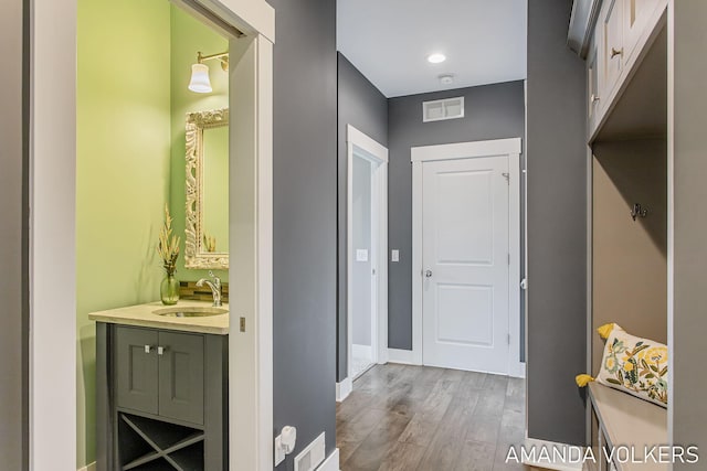 1551 Providence Cove Ct, Byron Center, MI 49315 - hall featuring a sink, light wood finished floors, and baseboards