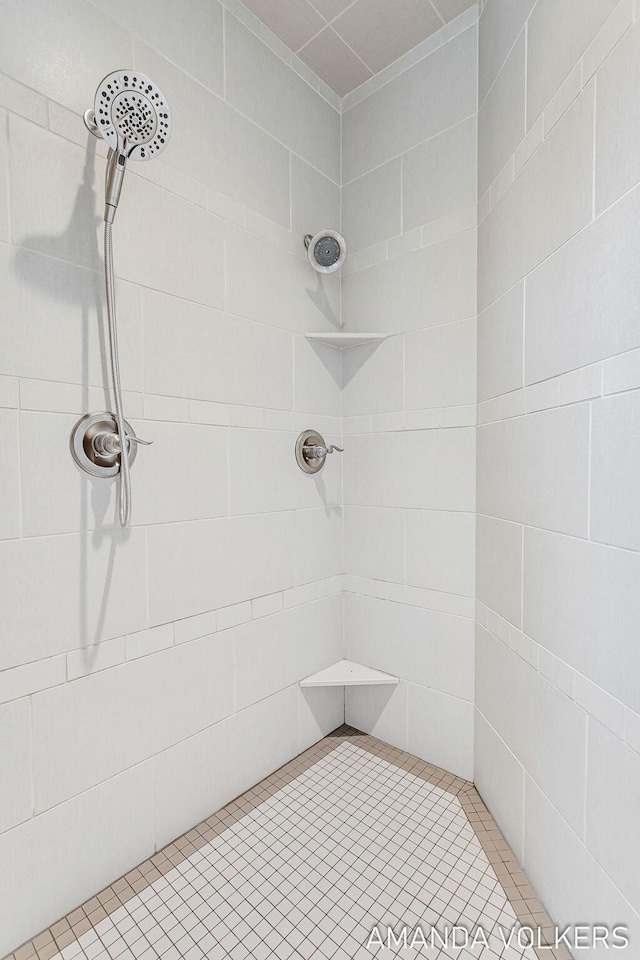 1551 Providence Cove Ct, Byron Center, MI 49315 - full bathroom with tiled shower