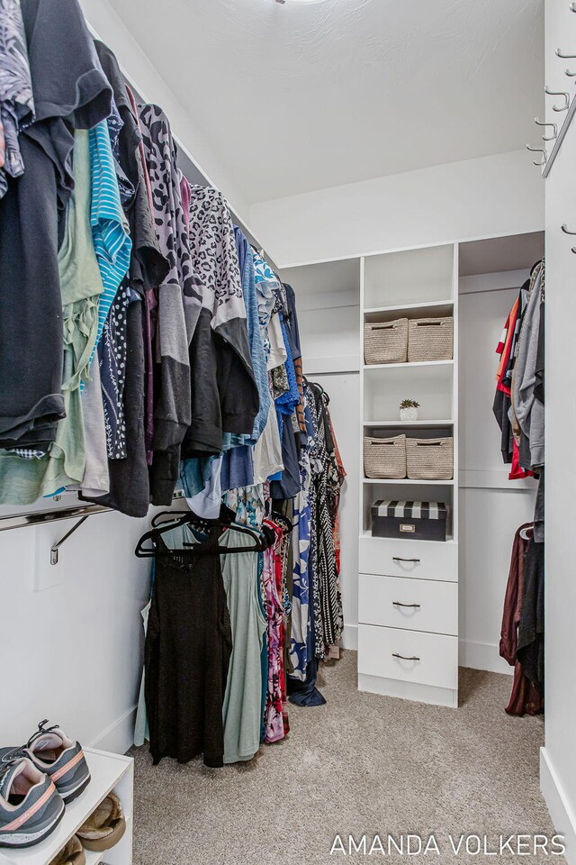 1551 Providence Cove Ct, Byron Center, MI 49315 - walk in closet featuring carpet flooring