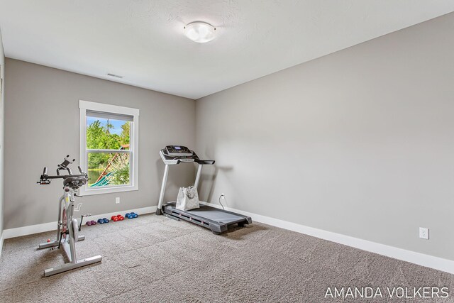1551 Providence Cove Ct, Byron Center, MI 49315 - exercise room featuring carpet and baseboards